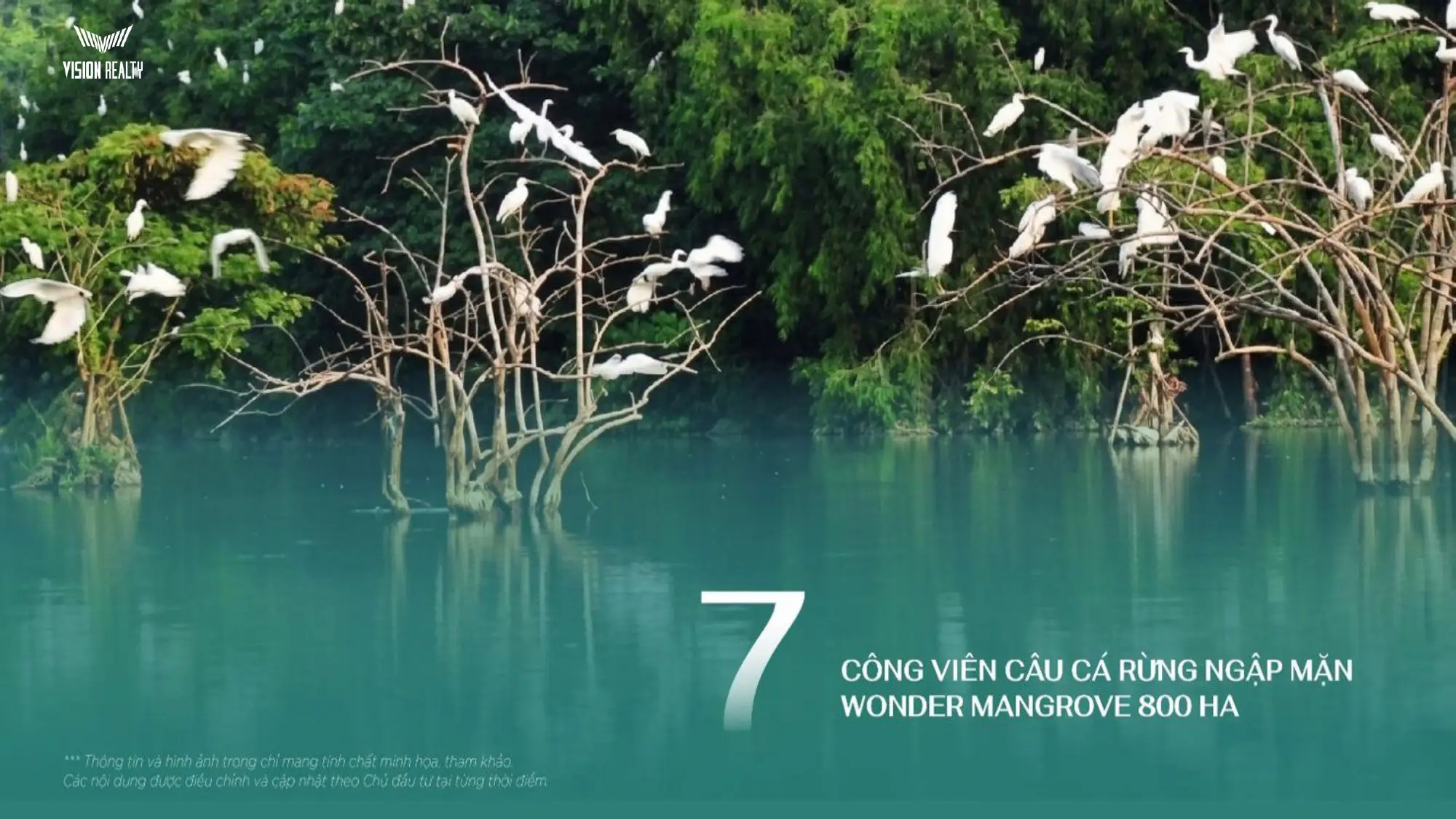 Công viên rừng ngập mặn Wonder Mangrove 800ha tại Vinhomes Global Gate Hạ Long Công viên rừng ngập mặn Wonder Mangrove 800ha tại Vinhomes Global Gate Hạ Long